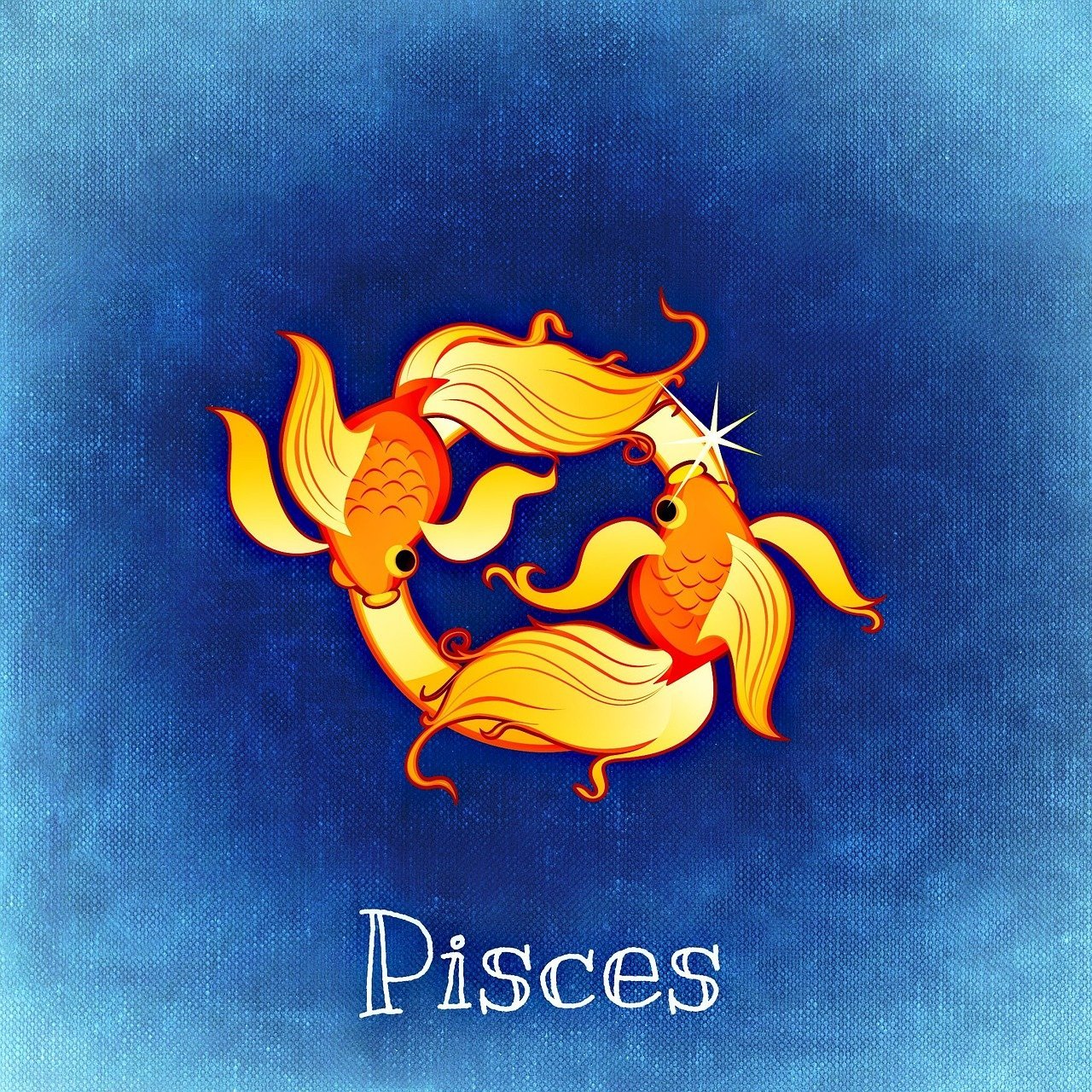 fishes-759384_1280